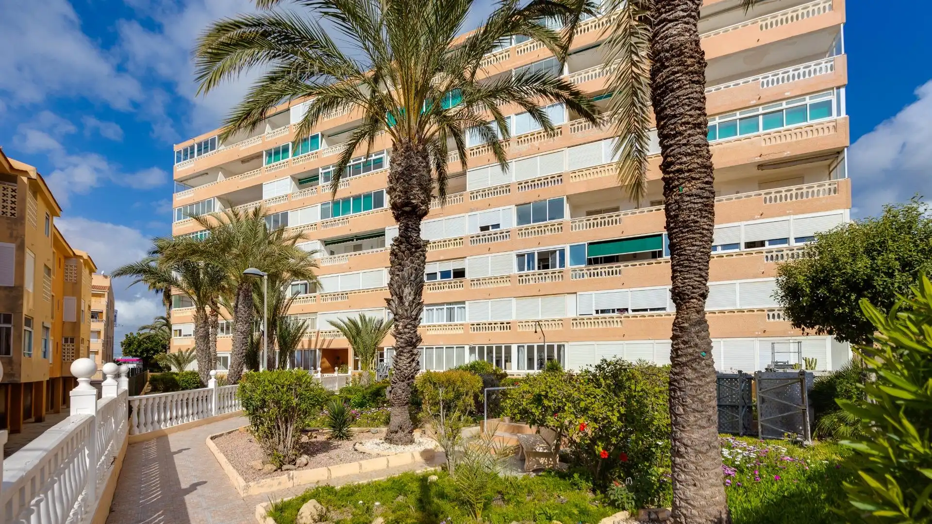 Vista exterior de Apartamento en venta en Torrevieja con Terraza y Amueblado