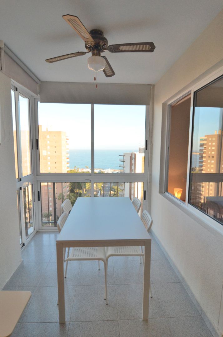 Dormitori de Estudi en venda en Orihuela amb Jardí privat, Moblat i Rentadora