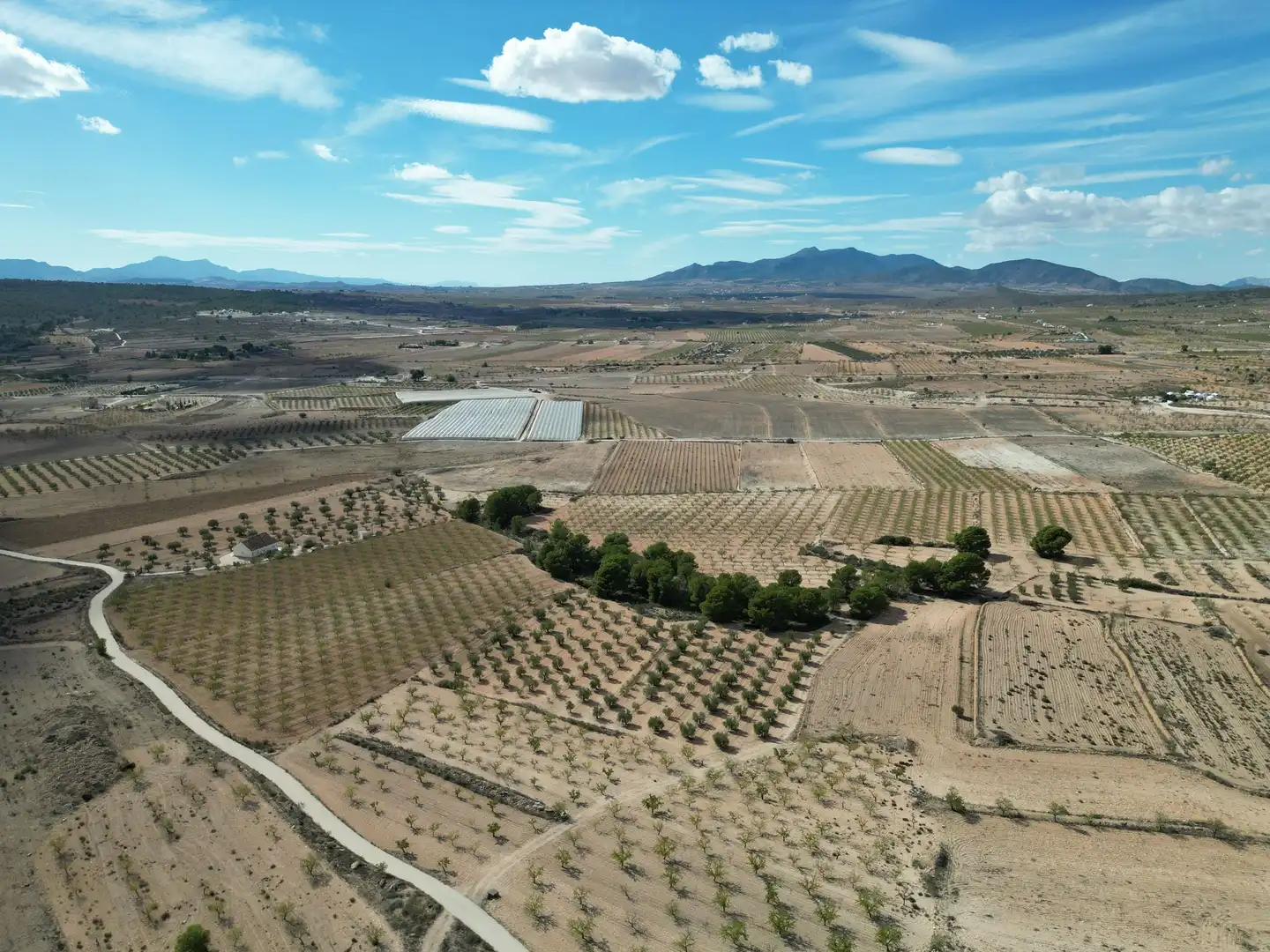 Terreno residencial en venta en El Pinós / Pinoso, imagen 20