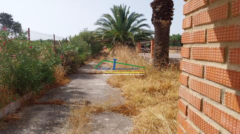 Photo 2 of House or chalet for sale in Valverde de Mérida, Badajoz