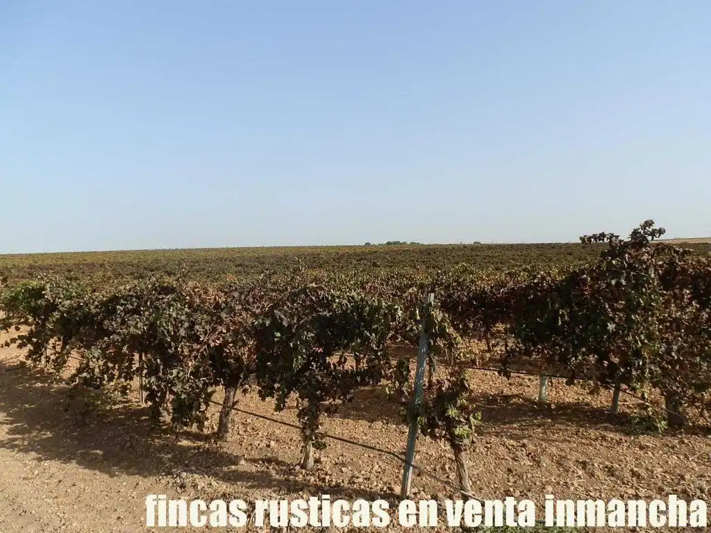 Terrenys i solars en venda a Almagro, imagen 20