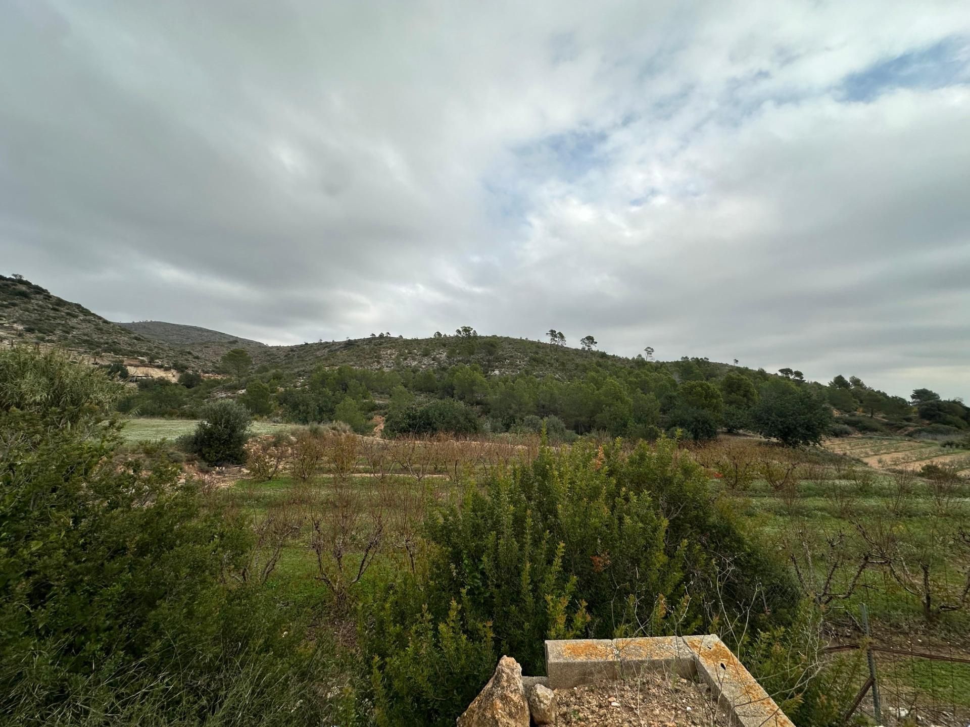 House or chalet for sale in Tous