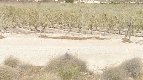 Foto 3 de Finca rústica en venda a Barrio de Peral - San Félix, Cartagena