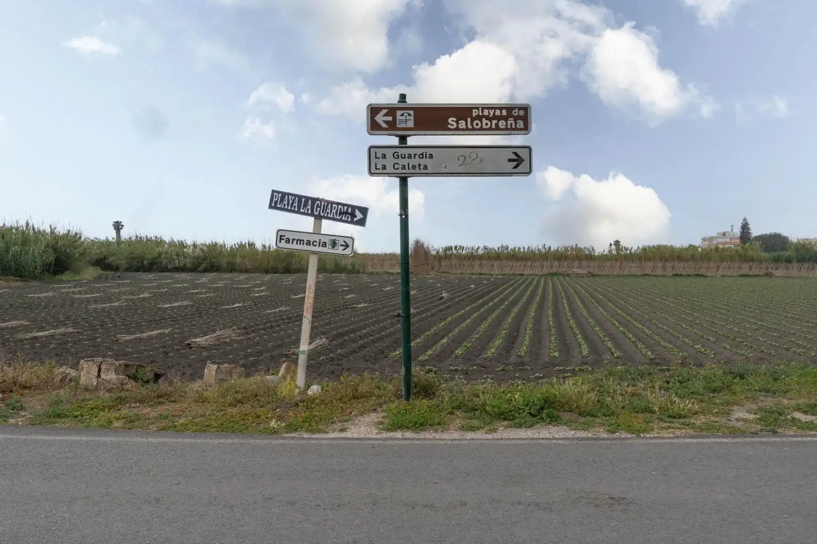 Terreni e lotti in vendita a CARRETERA MALAGA (CAL) 74, imagen 7
