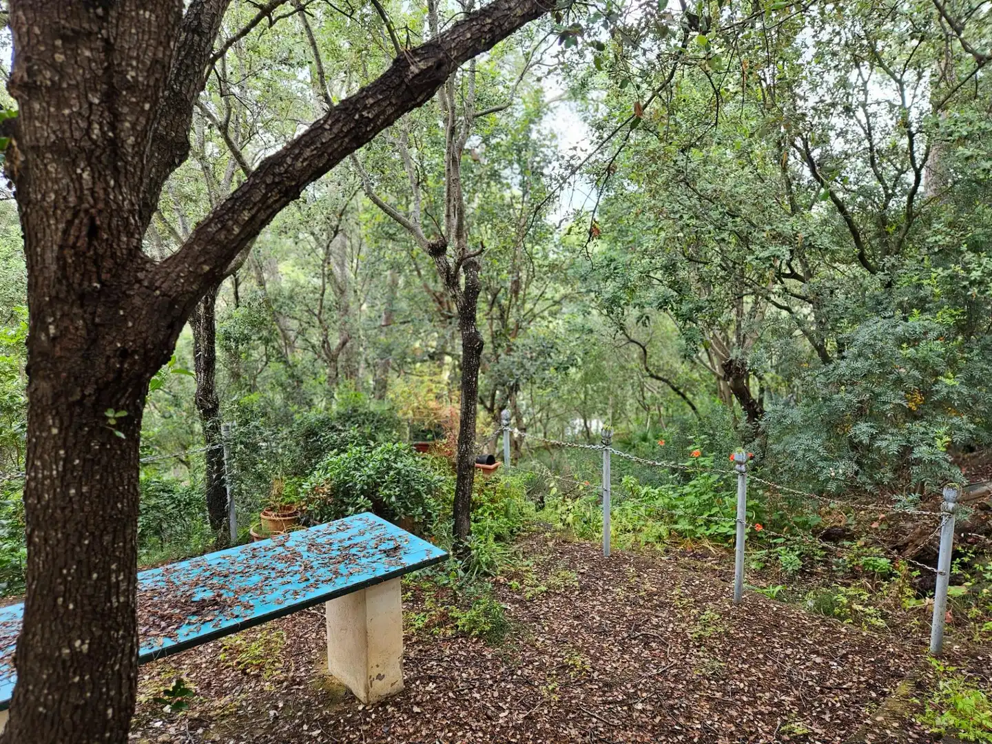 Villa à vendre à Esporles, imagen 28