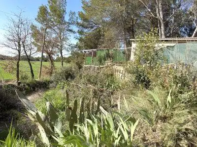 Terrenys i solars en venda a Balsareny, imagen 13