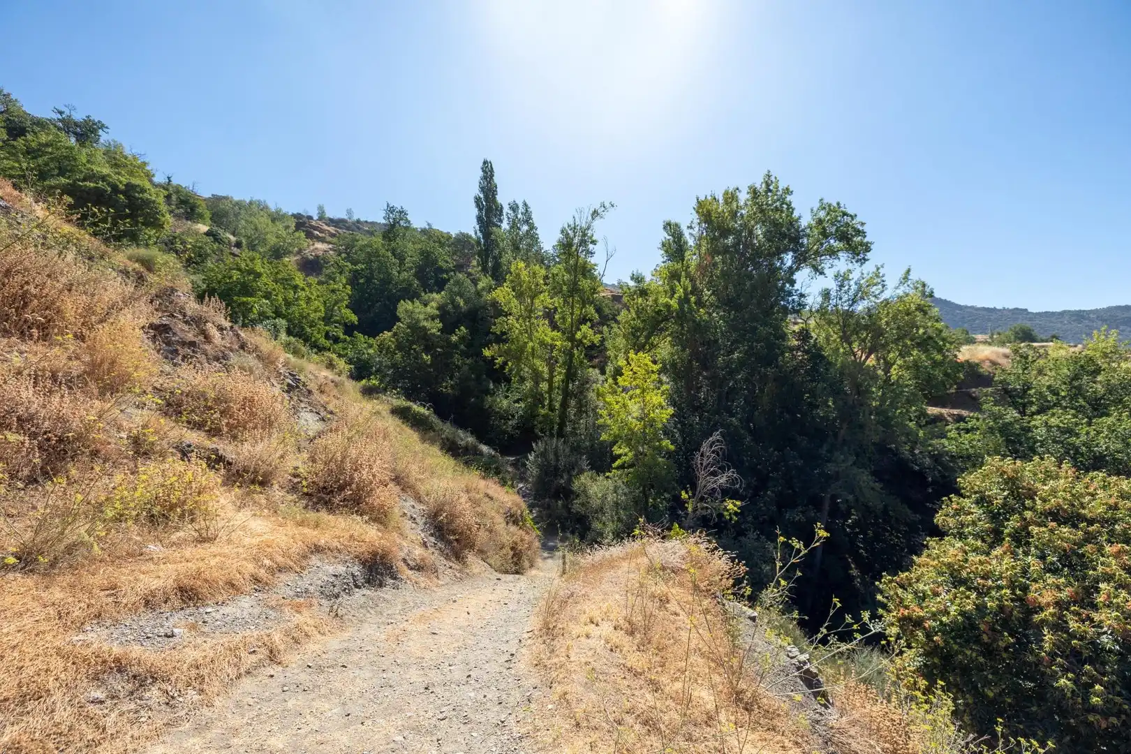 Rural land for sale in Polígono 3 Parcela 19 JARILA. BUBION (GRANADA), imagen 9