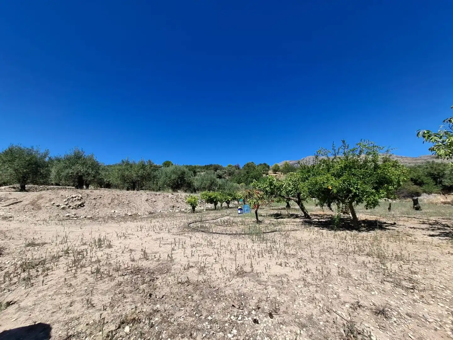 Grundstücke zum Verkauf in Beniardà