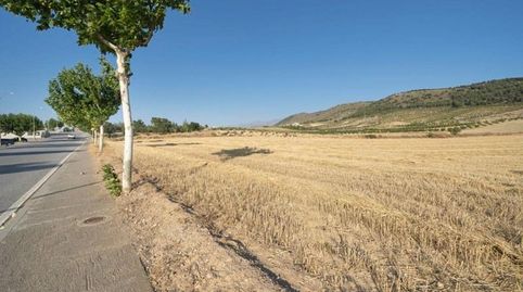 MÁGNIFICA FINCA RÚSTICA,  EN EL PUNTAL PADUL, GRANADA, immagine 2