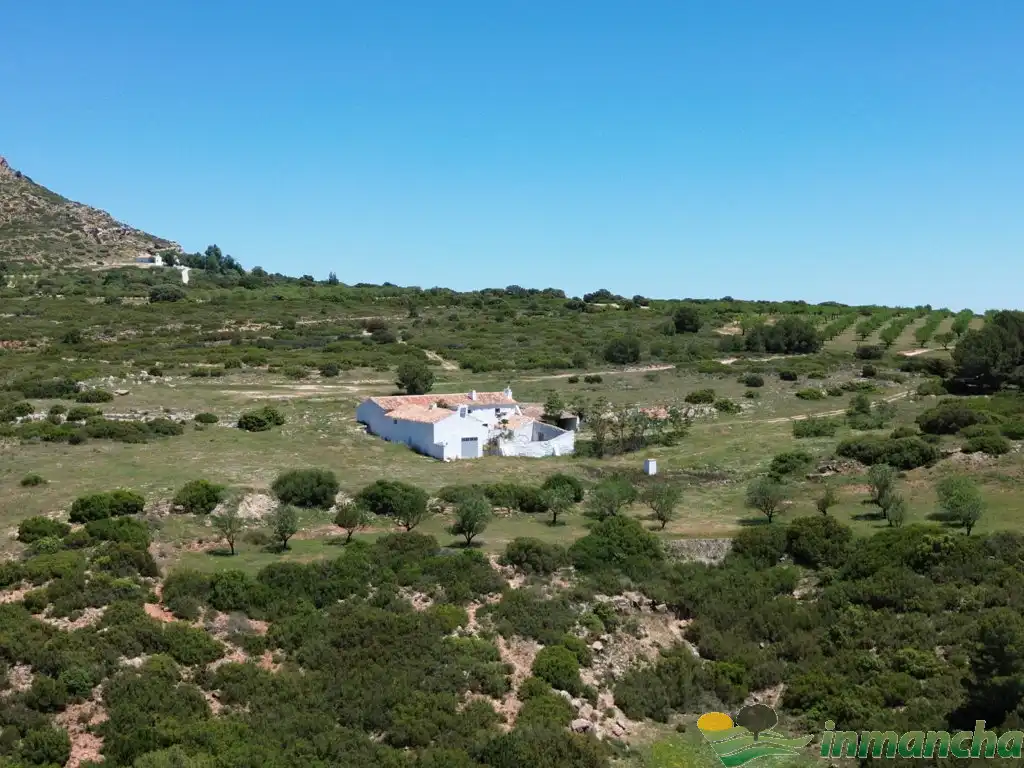 Terreni e lotti in vendita a Almansa, imagen 6