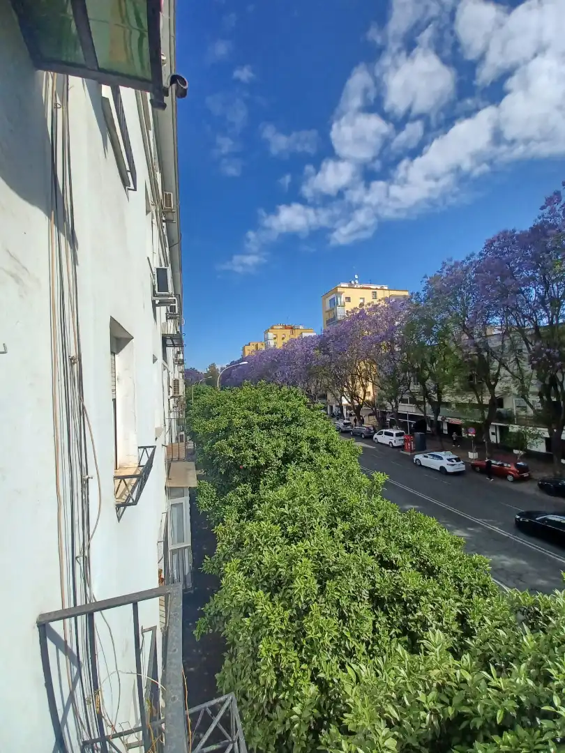 Vista exterior de Pis en venda en Sevilla amb Aire condicionat, Calefacció i Rentadora