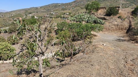 Foto 4 de Terreno en venta en Arrabal Arroyo Primero, Norte - Barrio del Pilar - El Reñidero, Vélez-Málaga