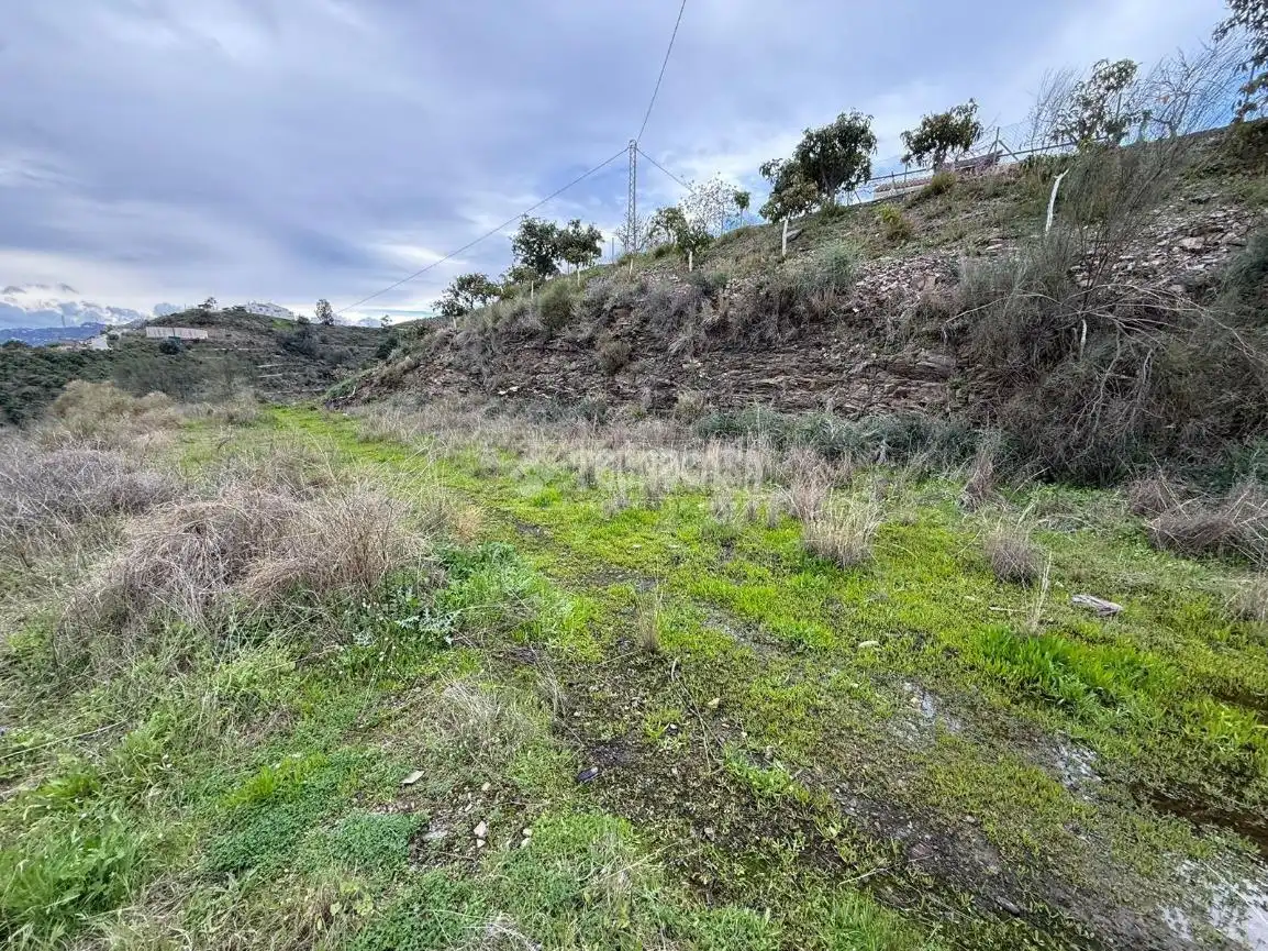 Terreny rústic en venda a Vélez-Málaga ciudad, imagen 12
