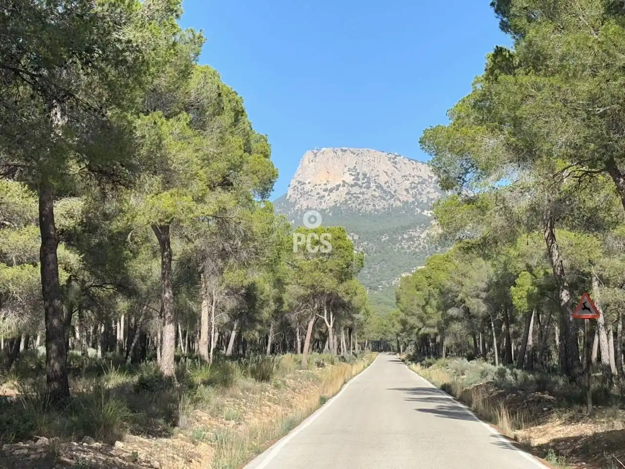 Terreny rústic en venda a Calle Sierra Espuña Anexo Balsa Grande 1 S/N, imagen 13