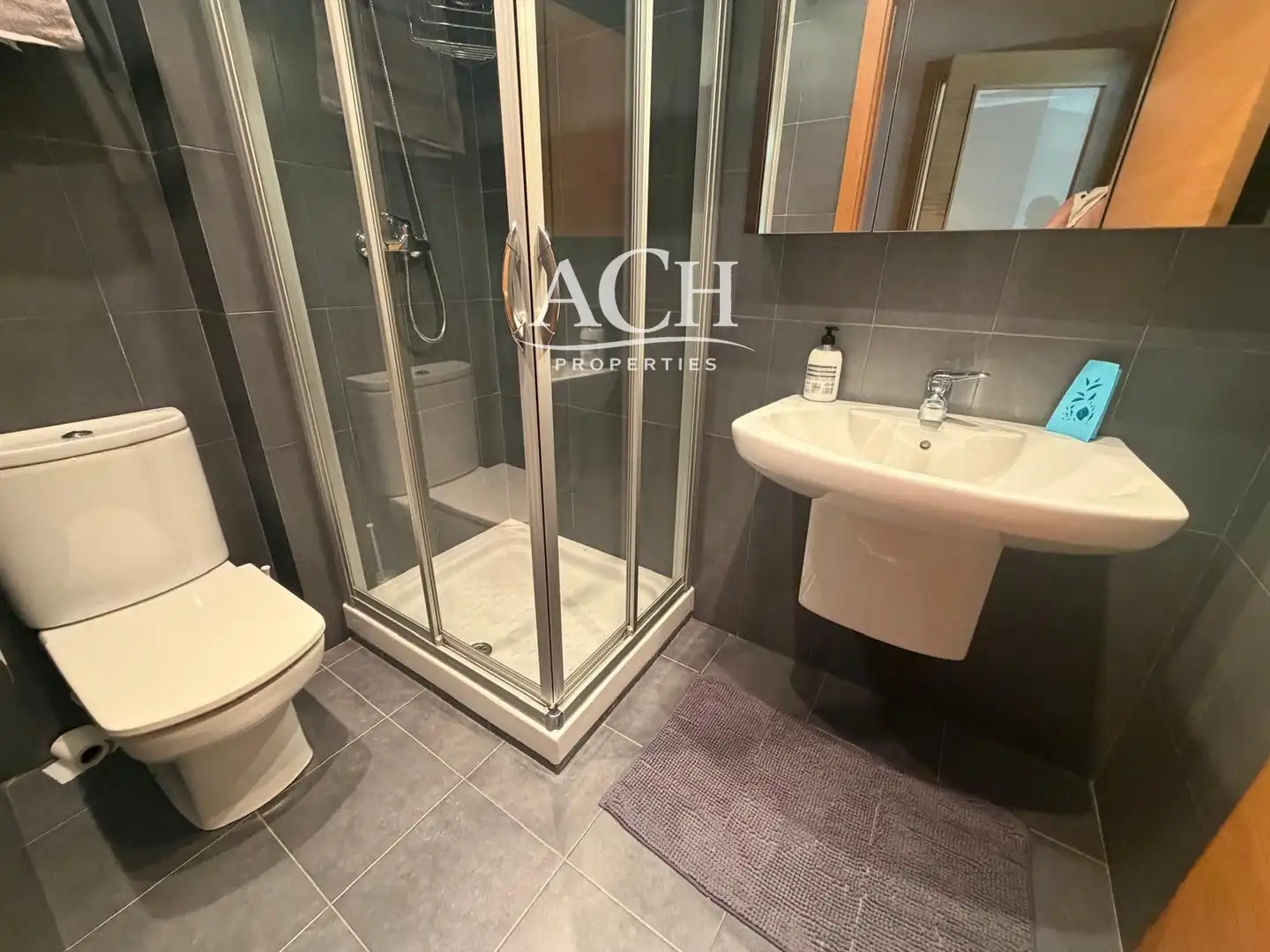 Badezimmer von Wohnung zur Miete in Bilbao  mit Heizung, Parkett und Möbliert