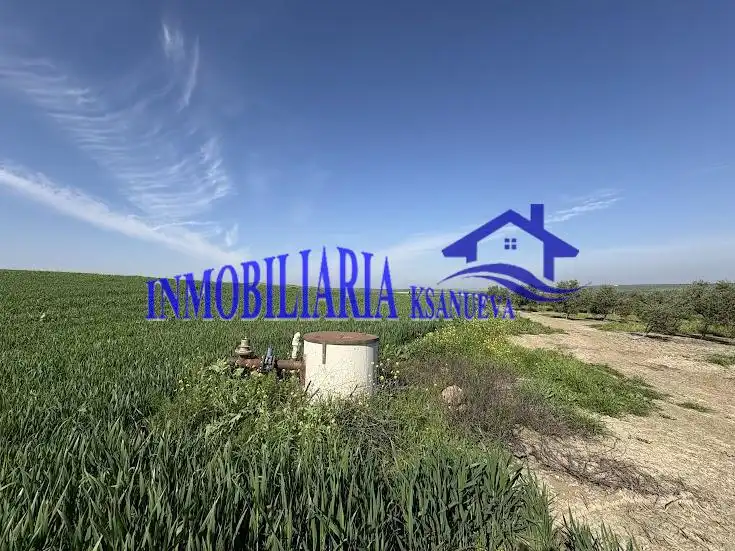 Finca rústica en venda en El Carpio