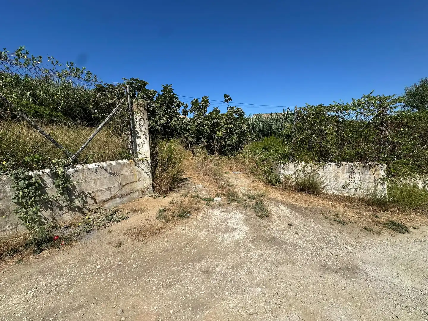 Rustikales Grundstück zum Verkauf in Los Franceses – La Vega, imagen 2