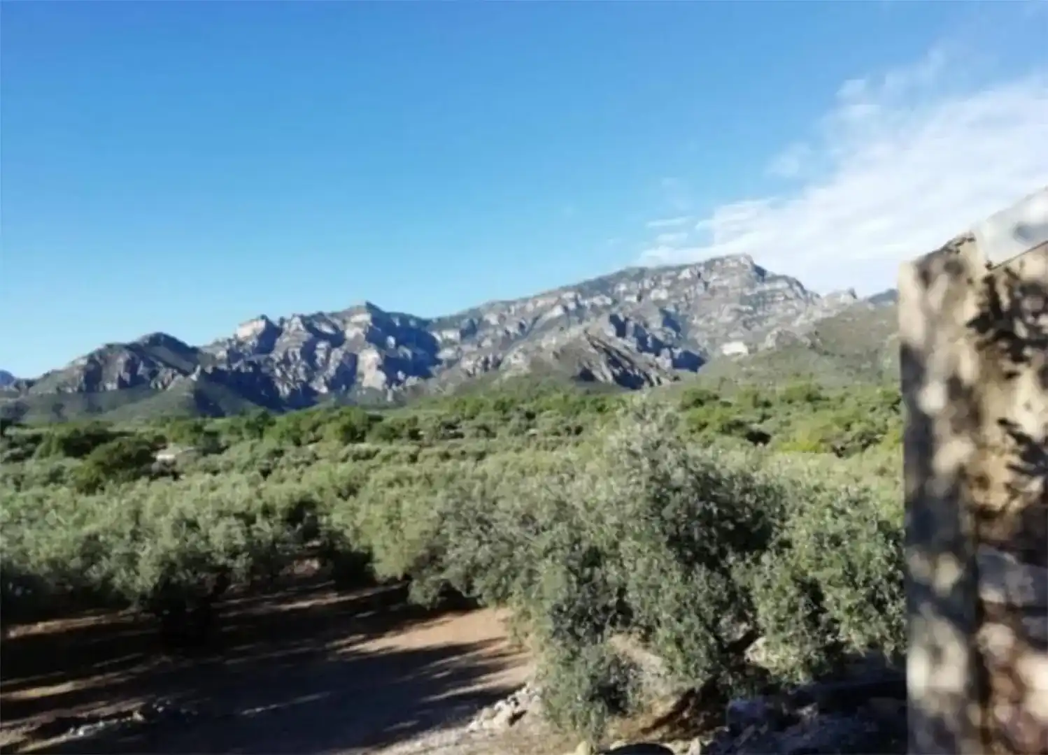 Vista exterior de Finca rústica en venda en Tortosa