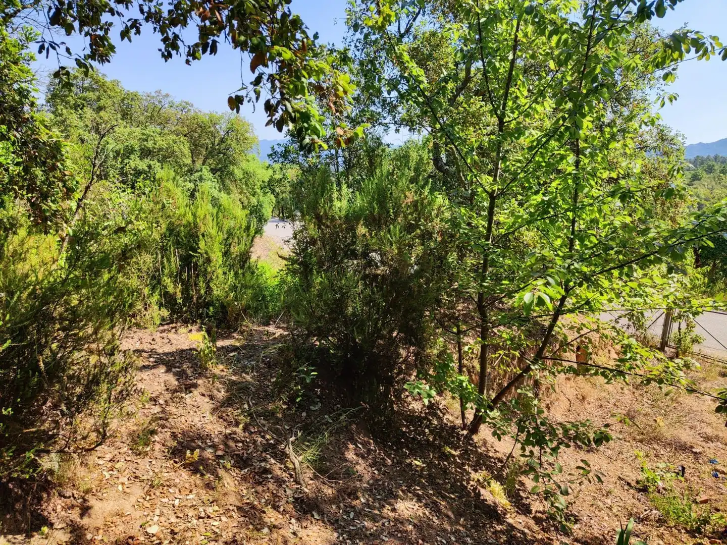 Lands and plots for sale in Llagostera, imagen 7