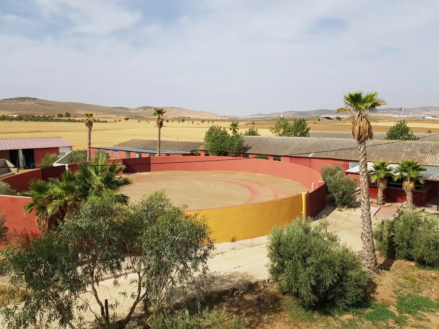 Jardín de Finca rústica en venta en Santa Cruz de Mudela