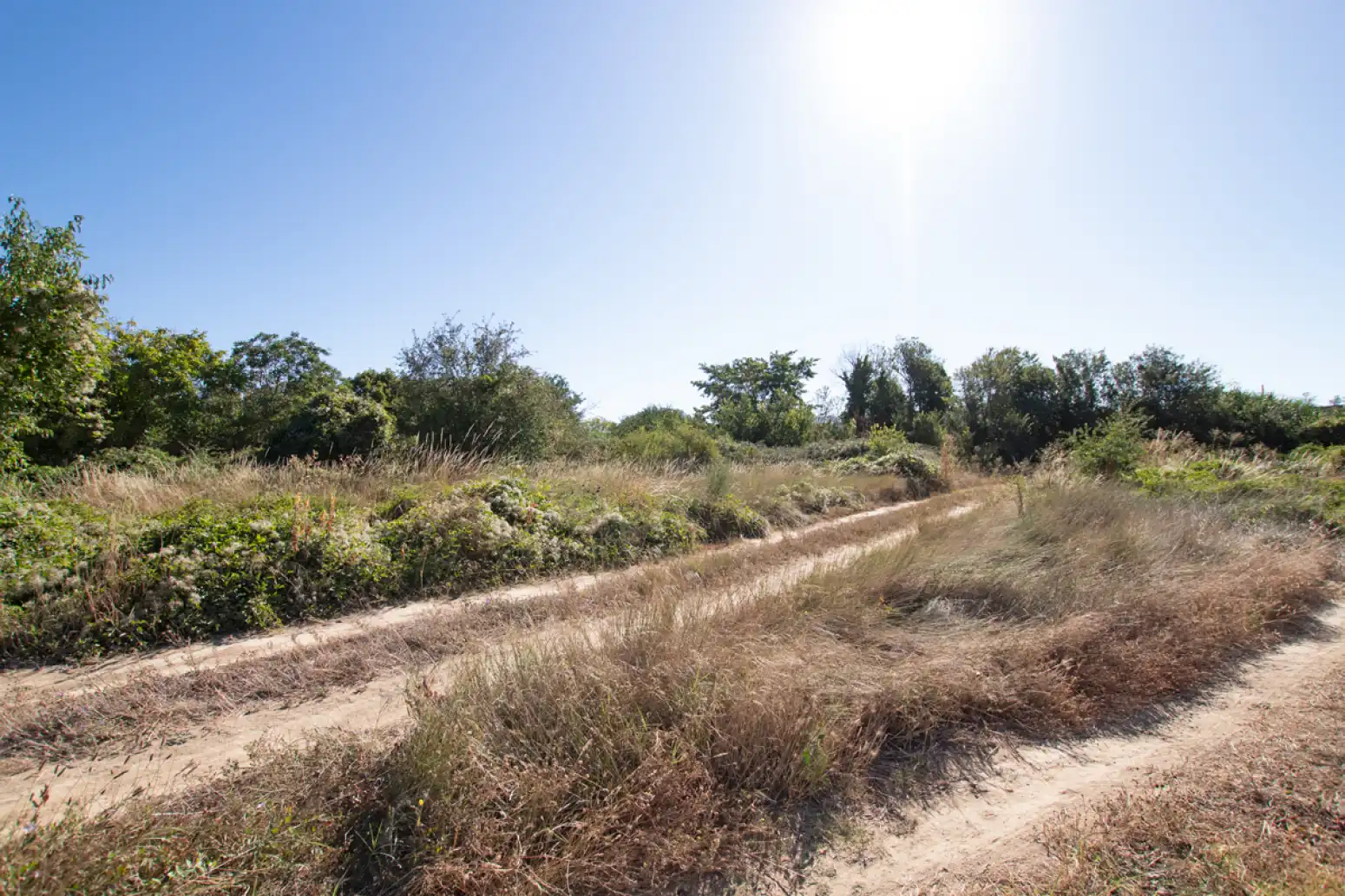 Land for sale in Tafalla - PARAJE MAKOTXA, Tafalla