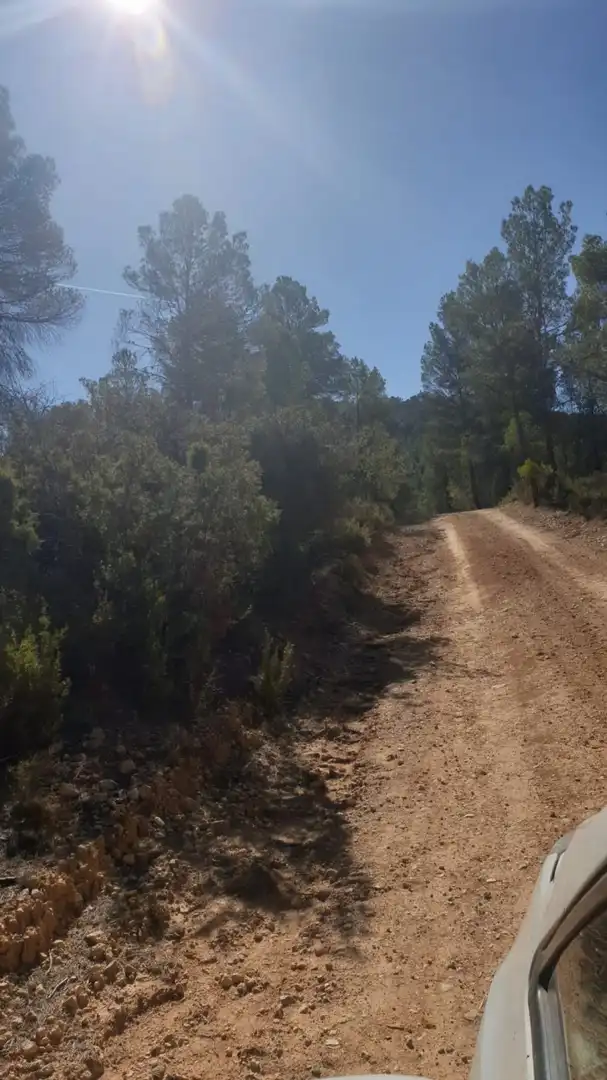 Terrain résidentiel à vendre à Requena, imagen 10
