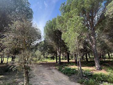 Rural land for sale in Sant Climent Sescebes