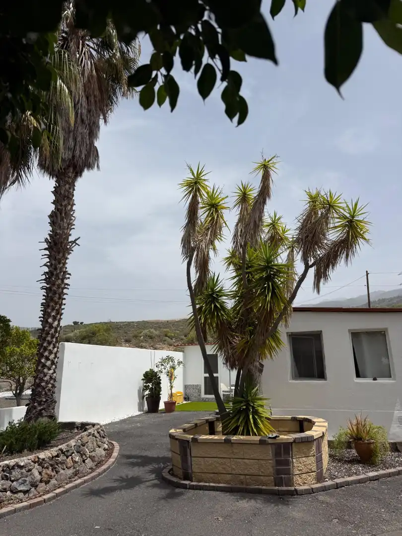 Vista exterior de Casa o chalet de alquiler en Guía de Isora con Terraza
