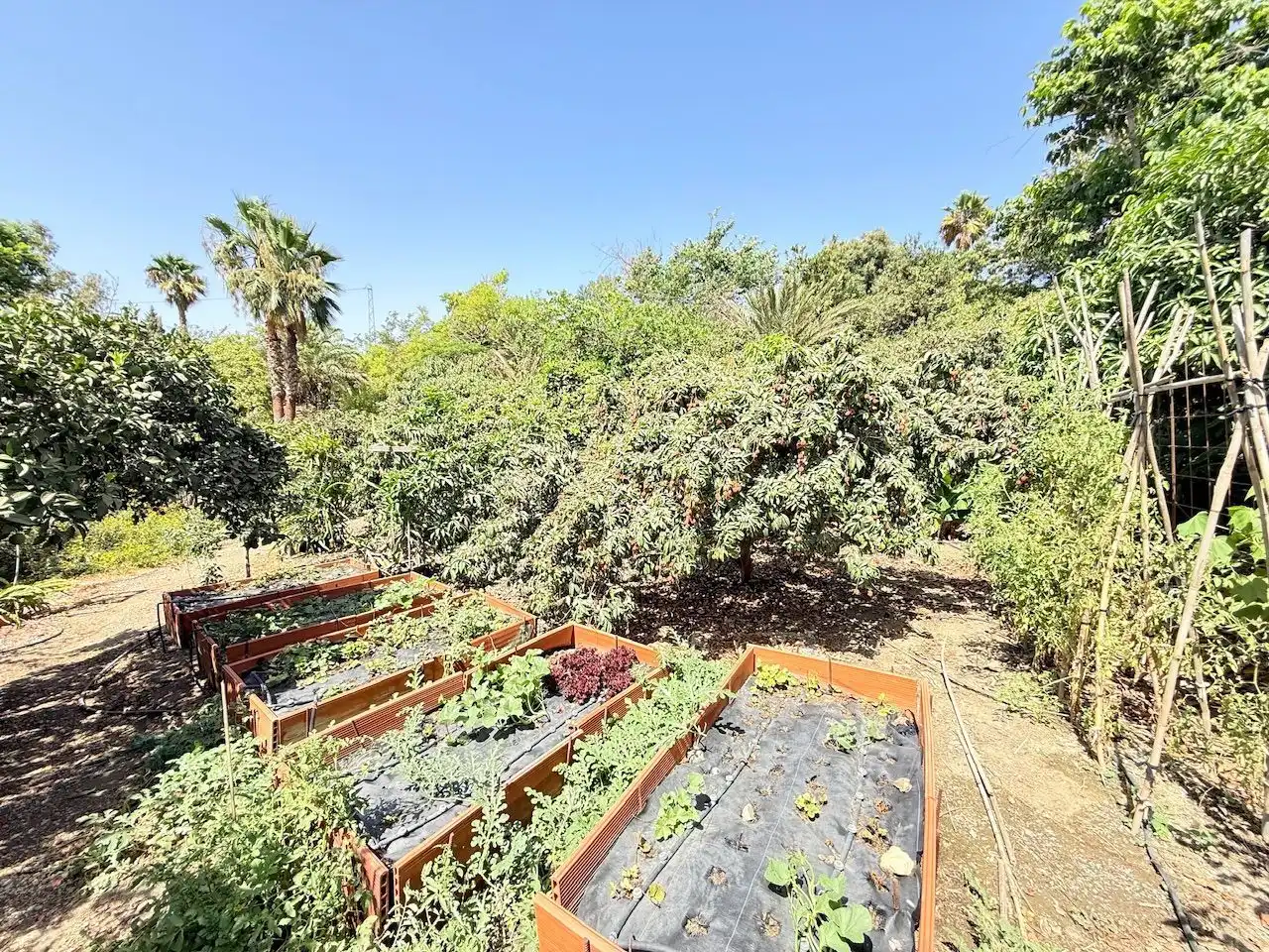 Jardín de Casa o chalet en venta en Vélez-Málaga con Aire acondicionado, Calefacción y Jardín privado