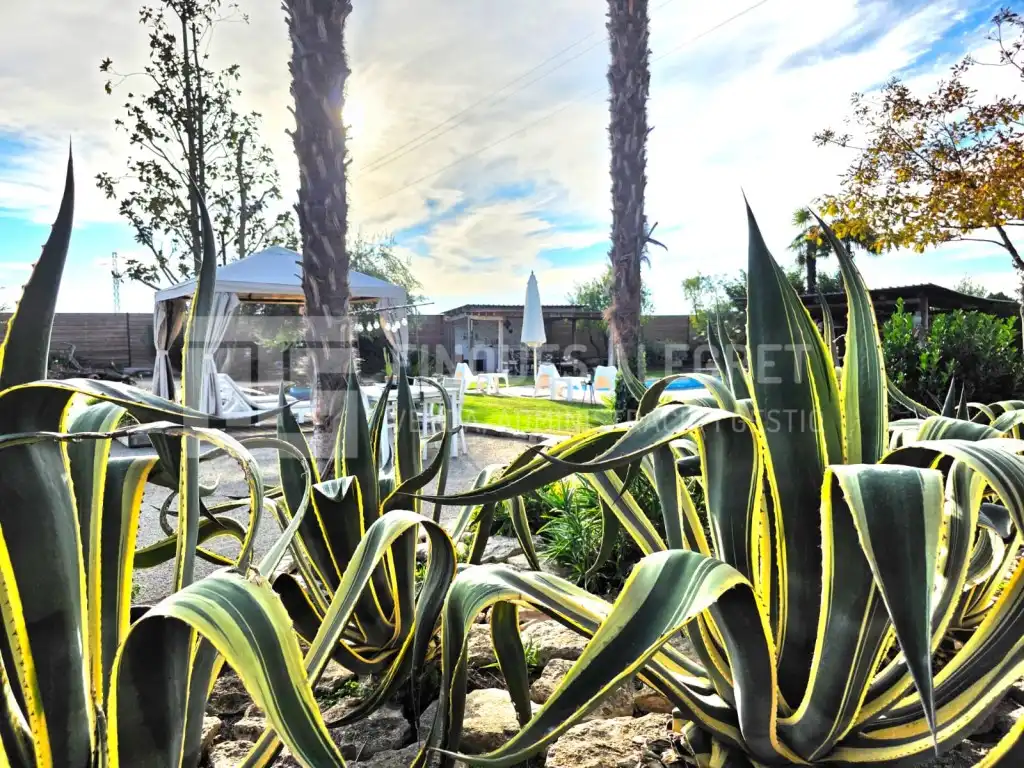 Jardín de Casa o chalet en venta en Alpicat