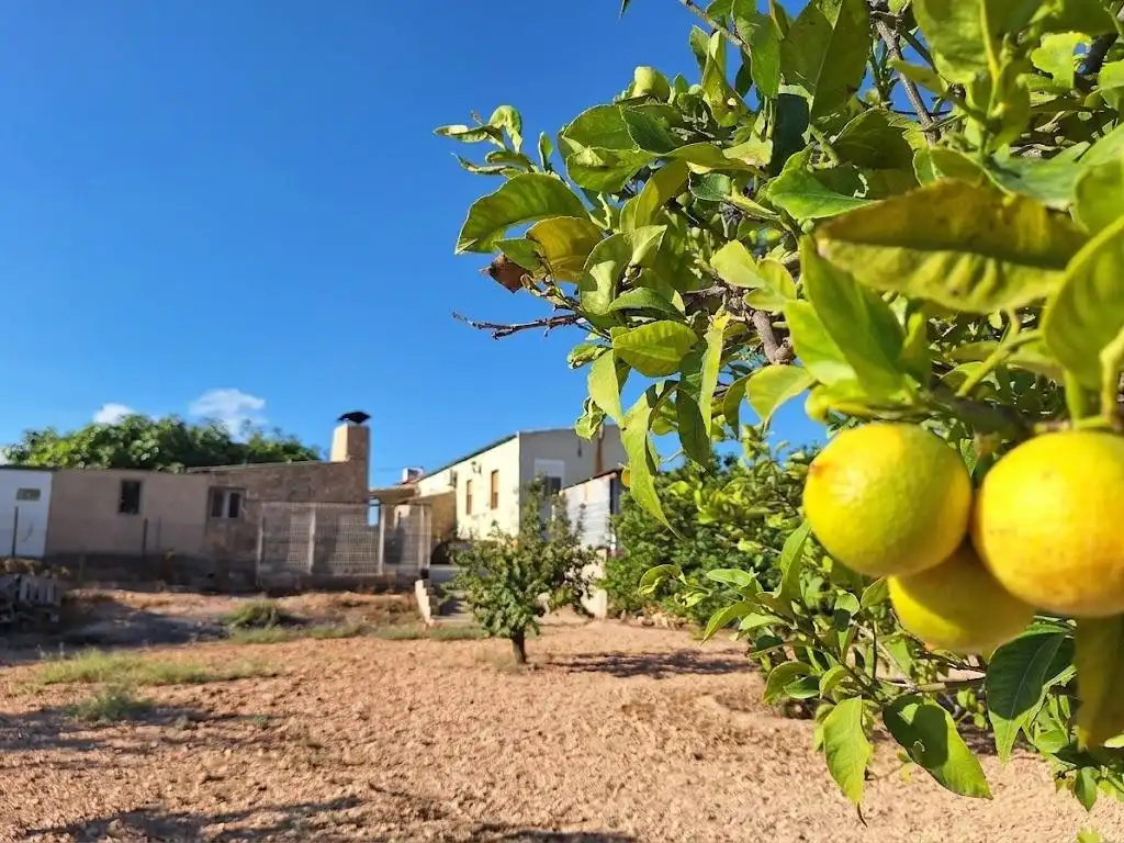 Exterior view of Houses for sale in Monóvar  / Monòver  with Air Conditioner, Heating and Private garden