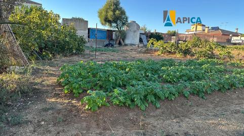 Photo 5 of Land for sale in Cuatro Pinos - El Carmen, Cádiz