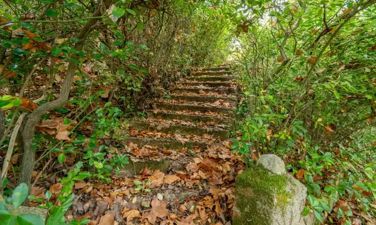 Maison avec jardin à vendre à Carrer la Resclosa, imagen 2