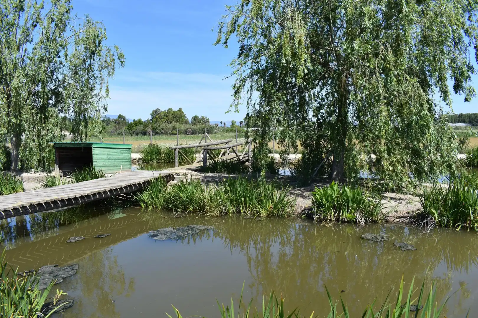 Finca rústica en venda a Eucaliptus - Poble Nou del Delta