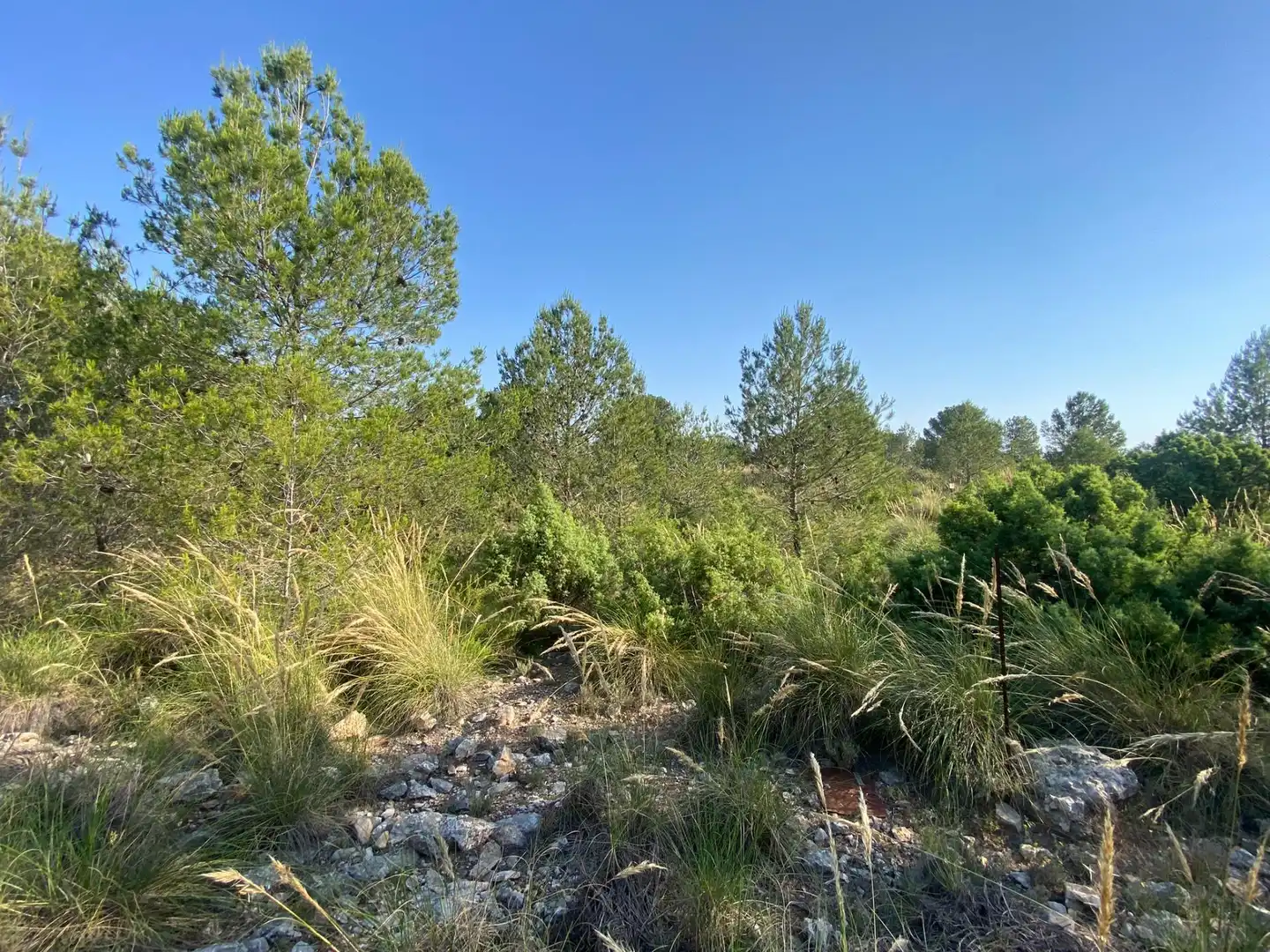 Villa à vendre à Moratalla, imagen 91
