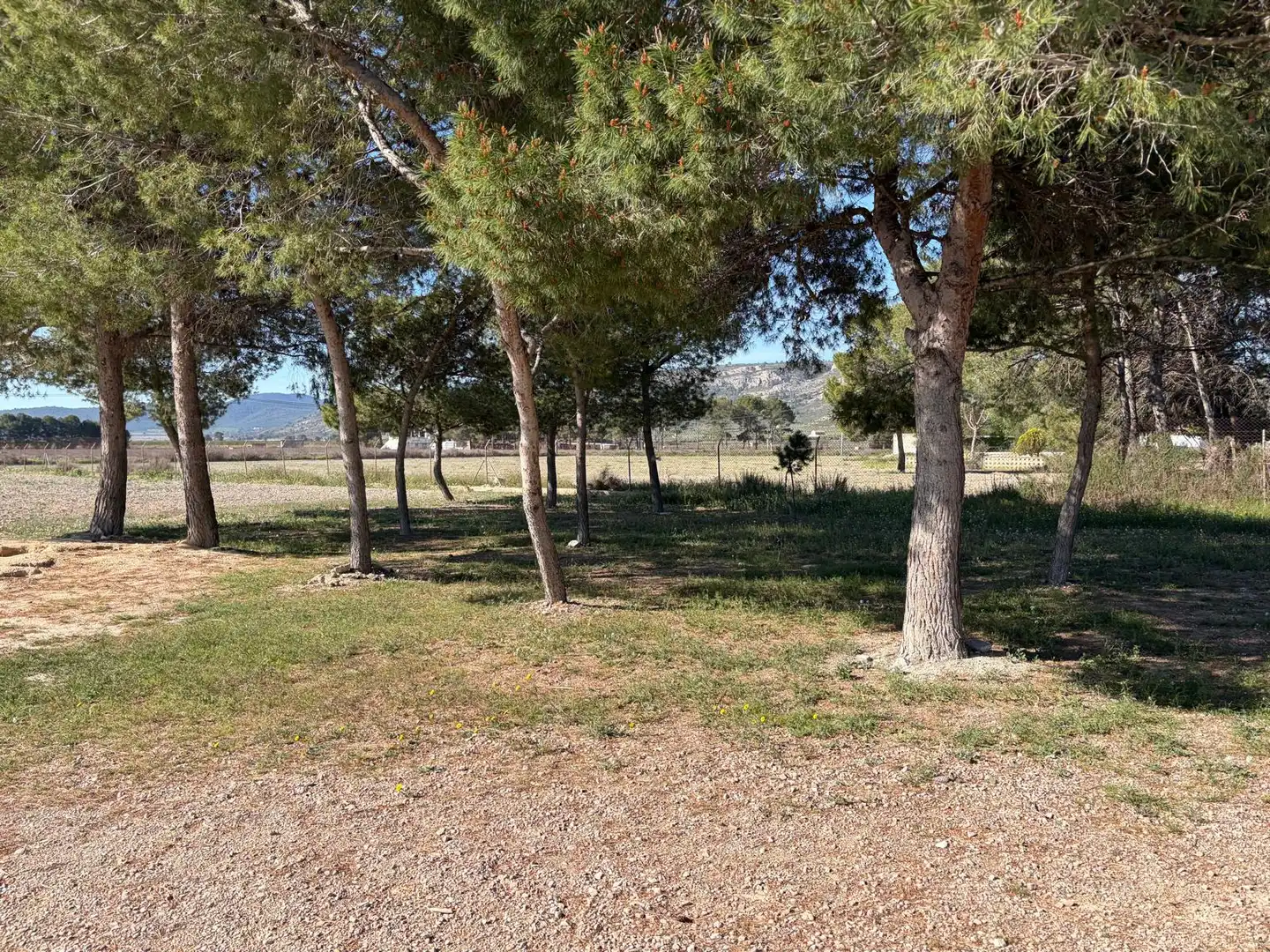 Houses for sale in Villena  with Private garden, Furnished and Oven