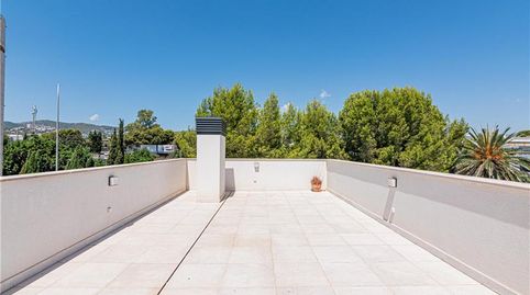 Ático seminuevo en complejo residencial con piscina en Zona Colegios,, imatge 2