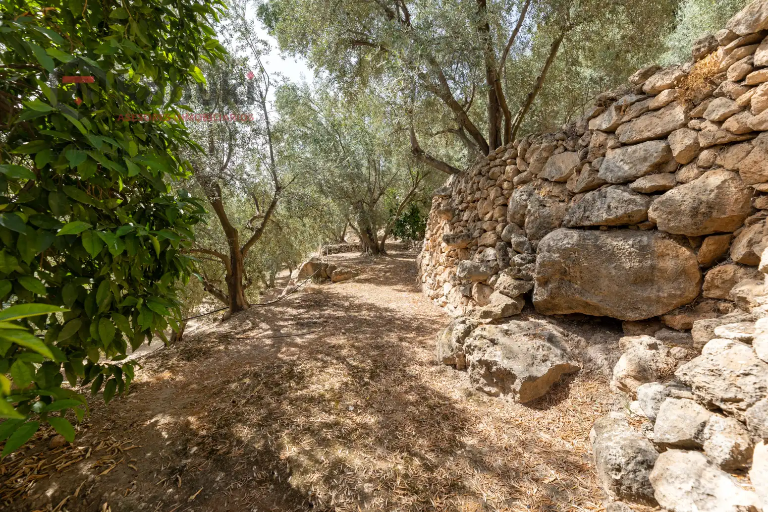 Terreno rustico in vendita a Pinar El - Pantano de Beznar, imagen 6