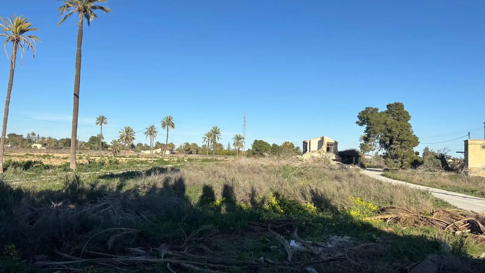 Grundstücke zum Verkauf in Elche / Elx