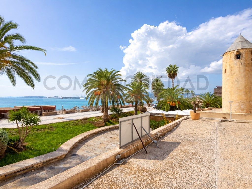 Vista exterior de Local en venda en  Palma de Mallorca