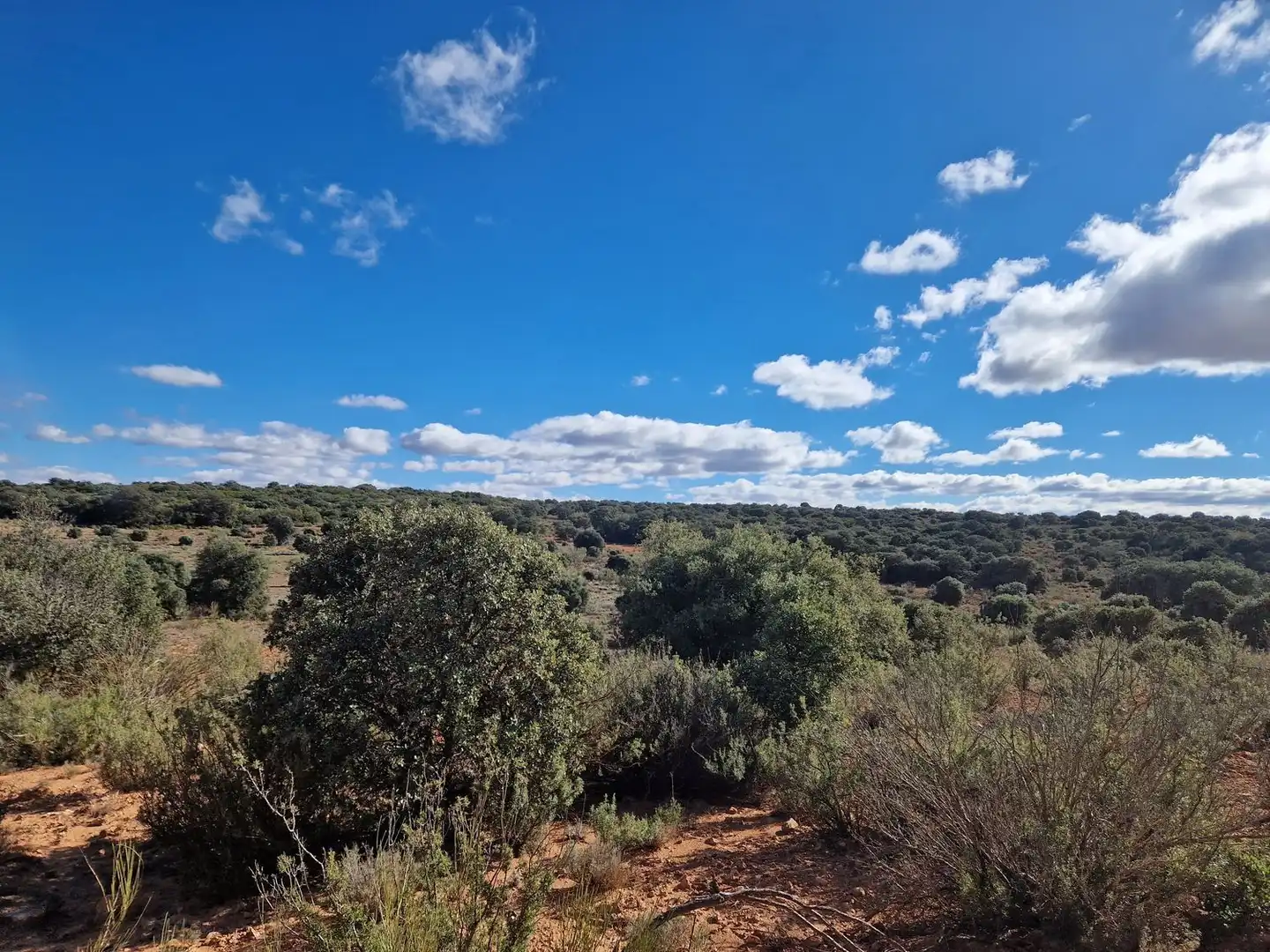 Rural land for sale in Pantano de Peñarroya 0, imagen 49