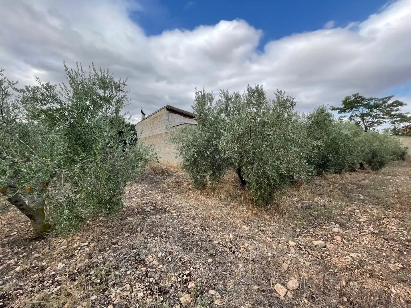 Terreni e lotti in vendita a santa catalina, imagen 19