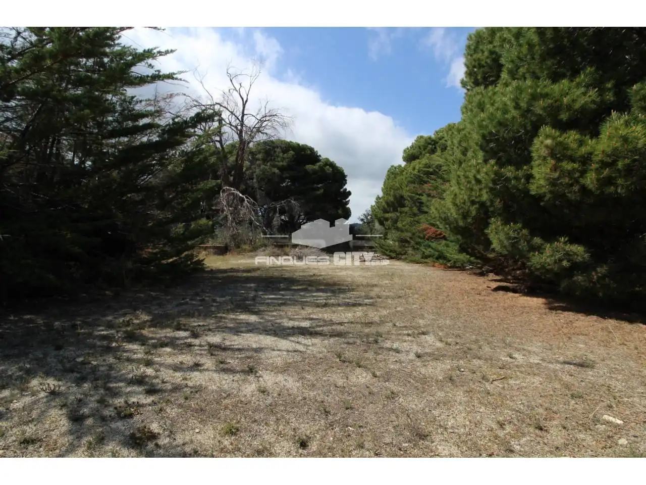 Residential land for sale in Avenida Àlbers, imagen 34