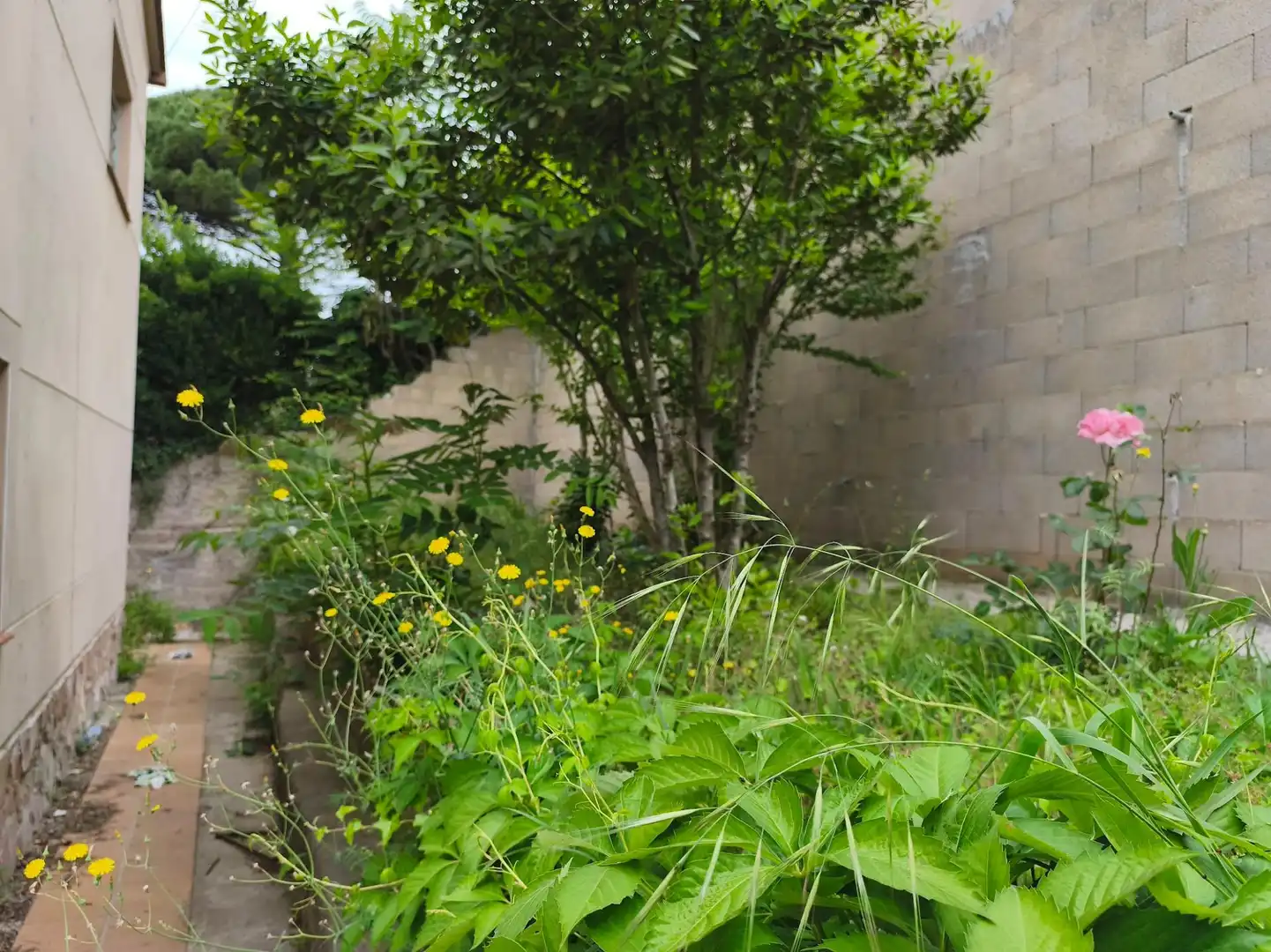 Casa en venta en Riells i Viabrea, imagen 9