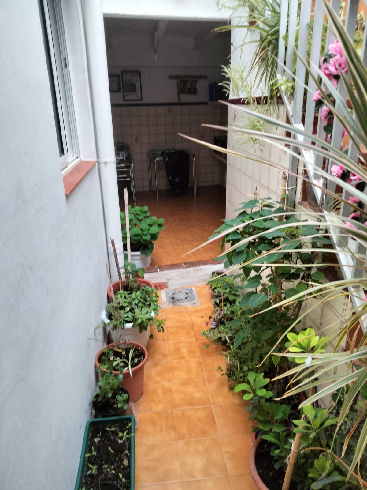 Casa o xalet en venda en Palma de Gandia amb Terrassa, Traster i Forn