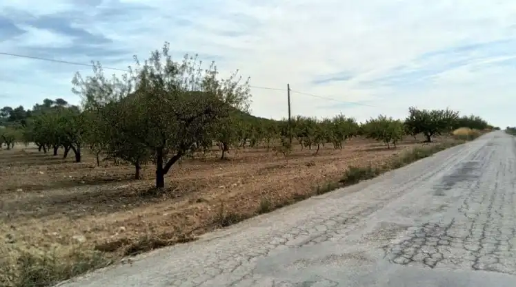 Lands and plots for sale in Paraje Ardal, imagen 7