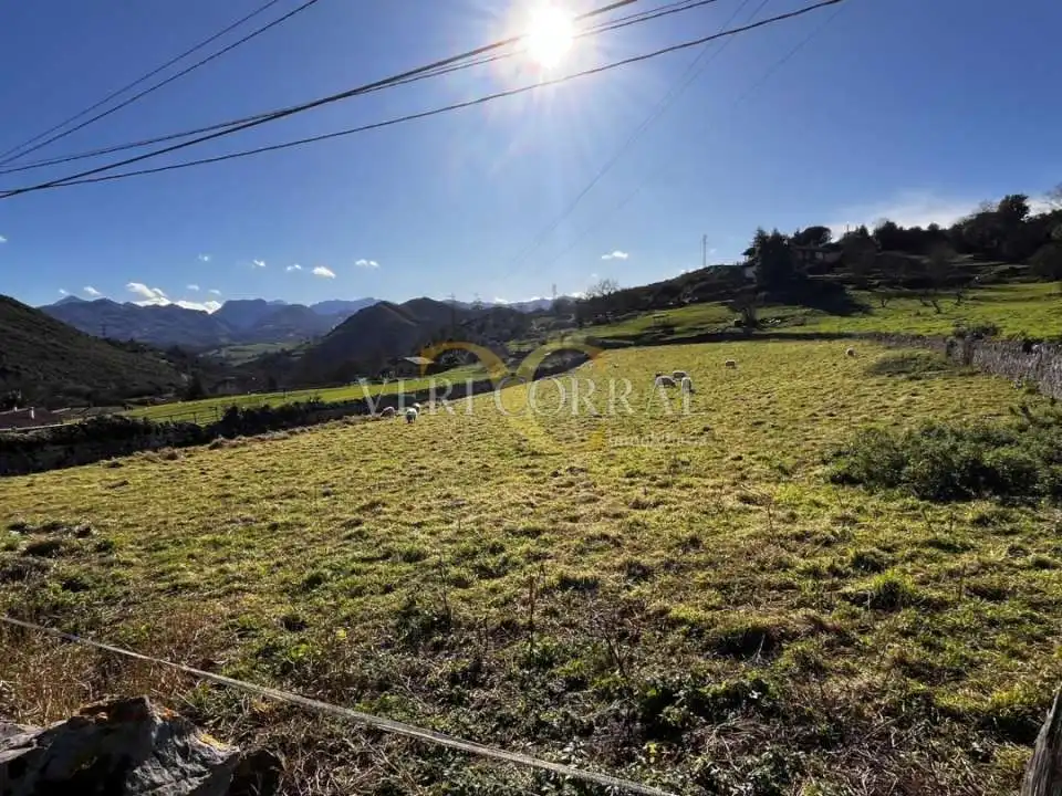 Terreno residencial en venta en Collía, imagen 3