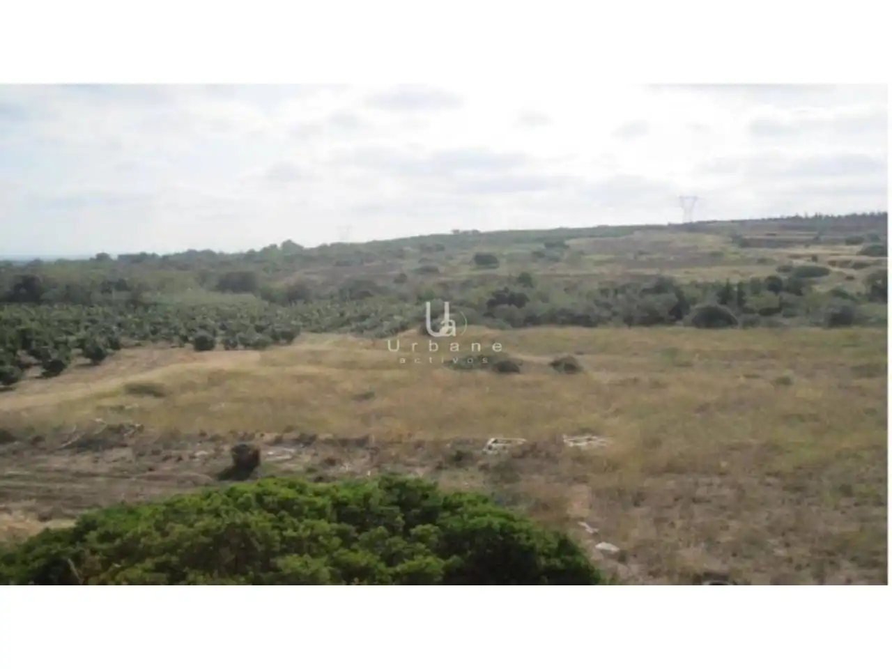 Terreno rústico en venta en Sector VERTXI XXI POLIGONO 7, imagen 11