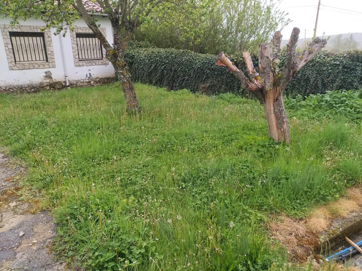 Casa o chalet en venta en Santibáñez de la Peña