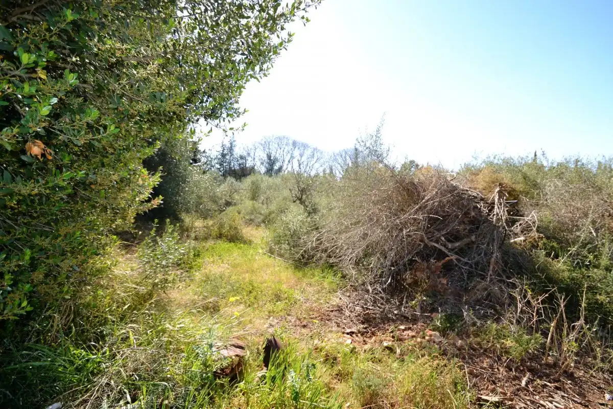 Rural land for sale in Muro, imagen 9